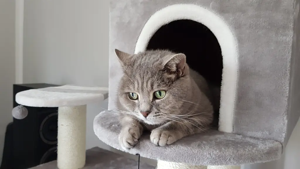 Andachtsbild von Torsten Bohne