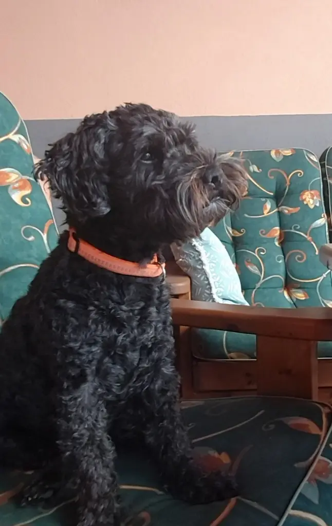 Andachtsbild von Tanja