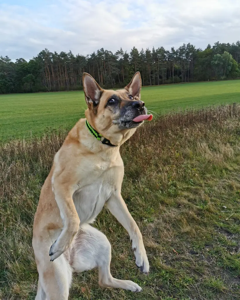 Condolence image of Yannic Best