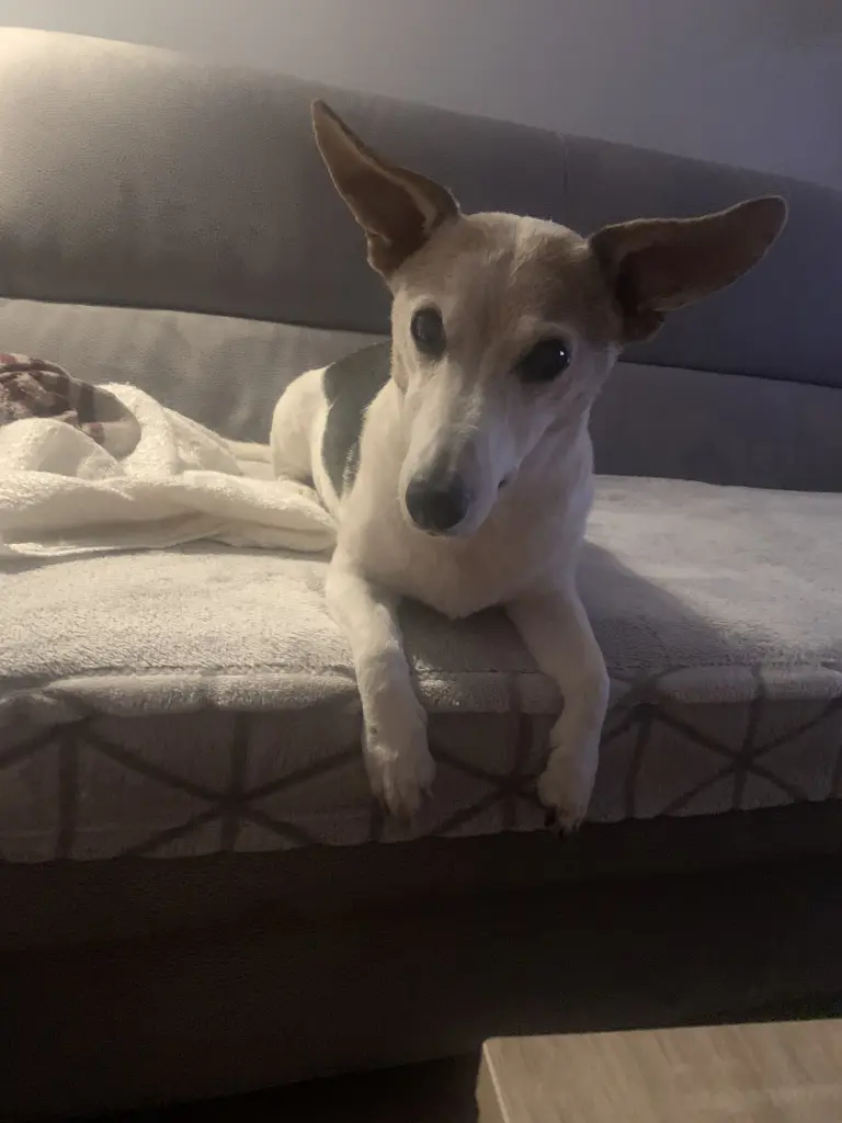 Andachtsbild von Mona mit Lina im ❤️