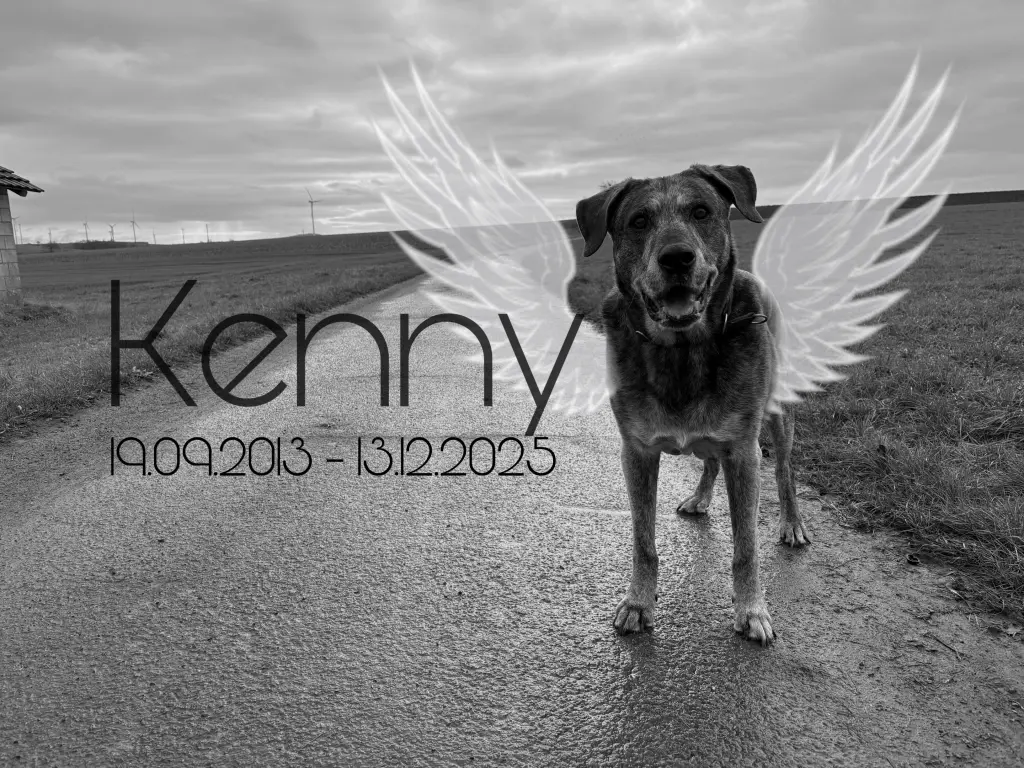 Bild von Kenny