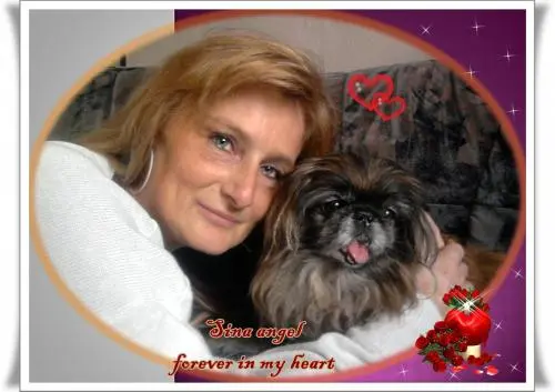 Image from dich mein Engelchen und Seelenhund Sina