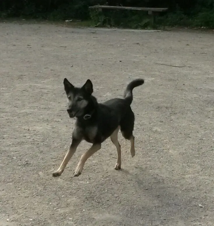Andachtsbild von Axel LEU