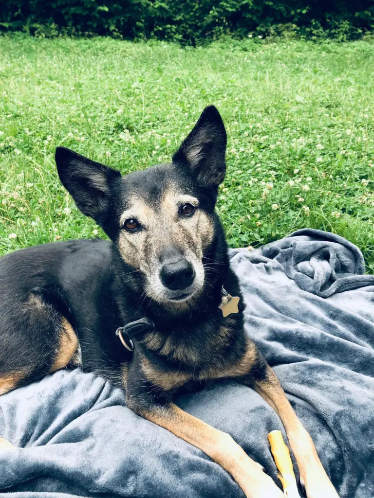 Andachtsbild von Axel