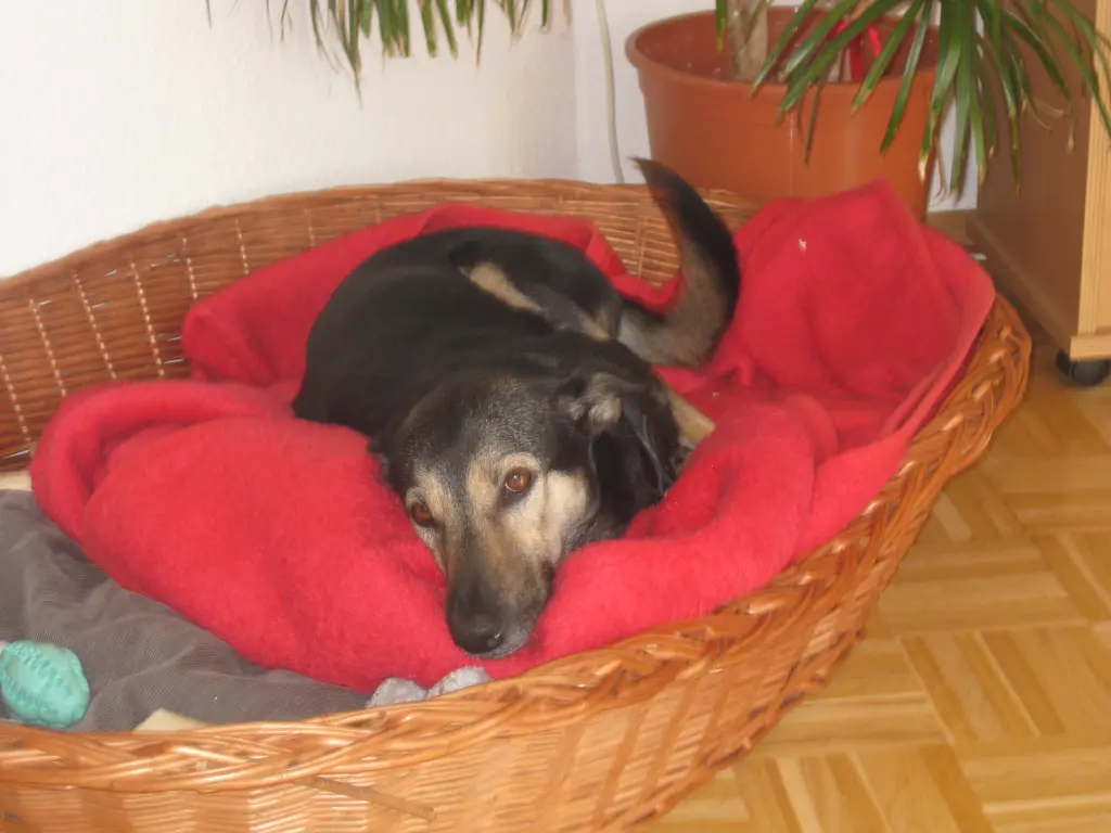 Eingelebt im Dachgeschoss in Xkölln 2013