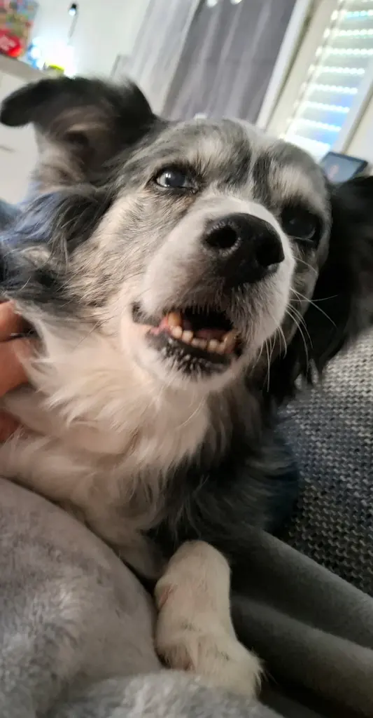 Unser Kuschelritual 🥰