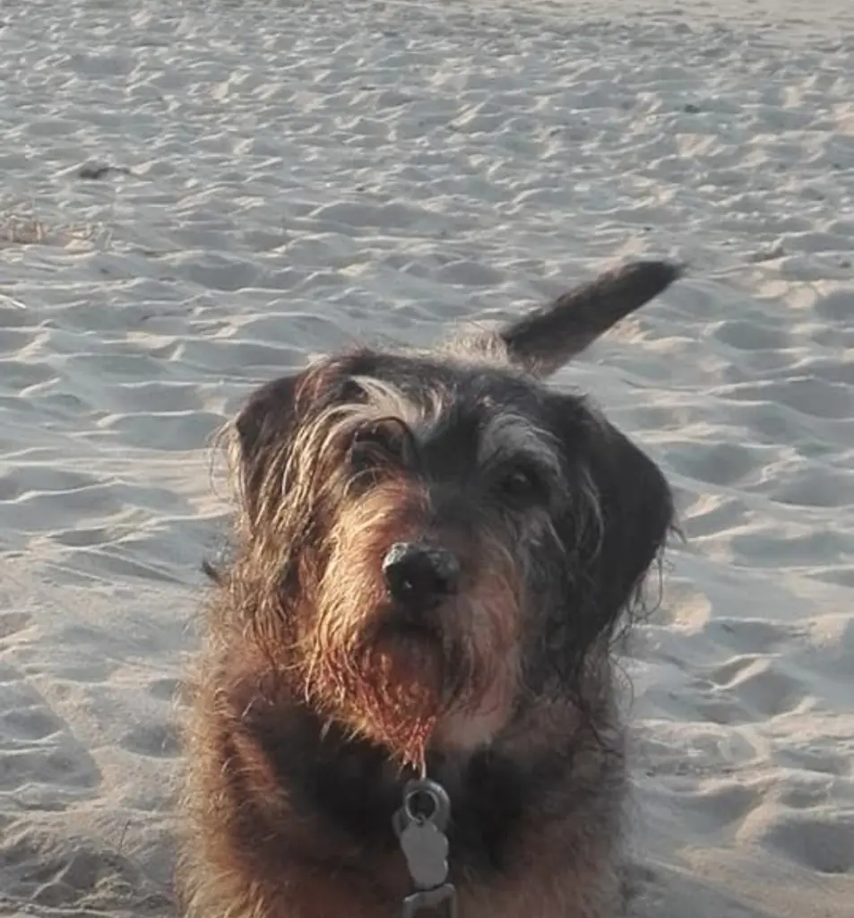 Andachtsbild von Sigrid Skerl