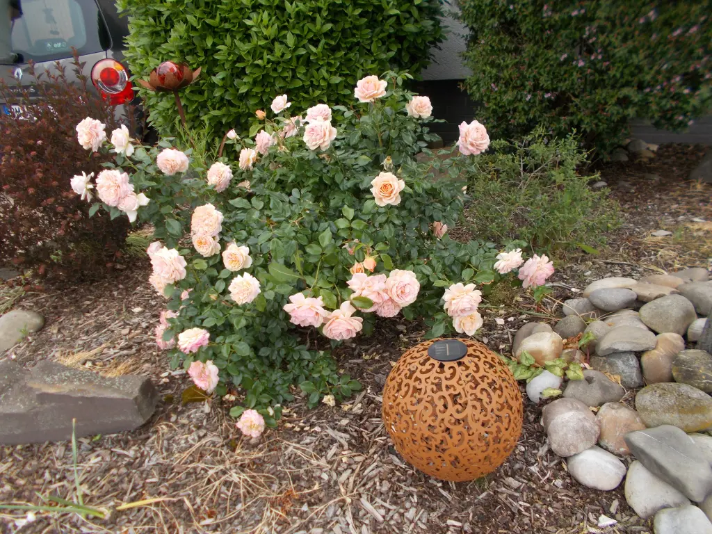 Andachtsbild von Jacob