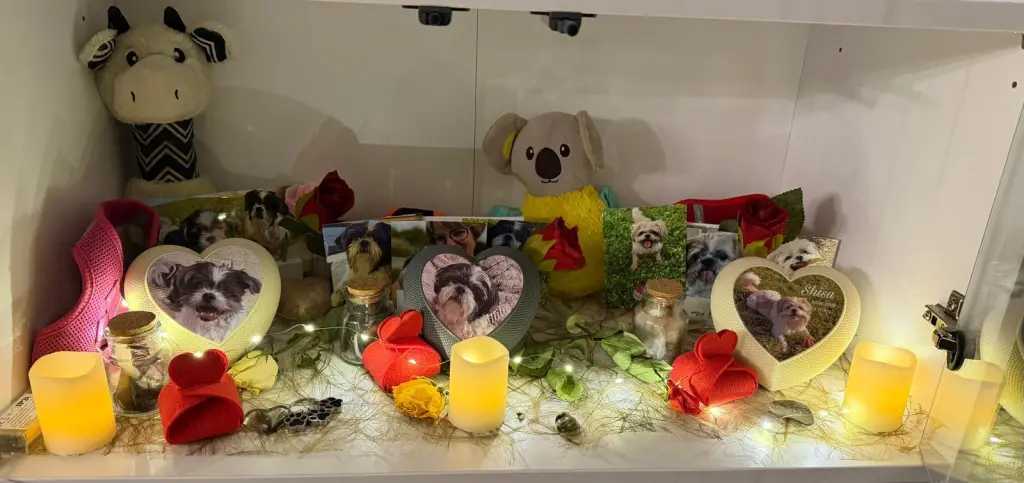 Andachtsbild von Verena