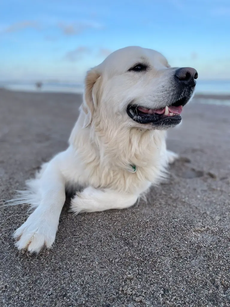 Andachtsbild von Vanessa Franke