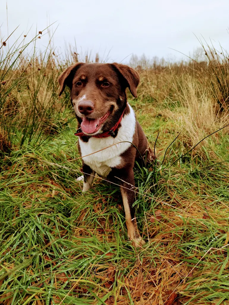 Andachtsbild von Anke Wildermann