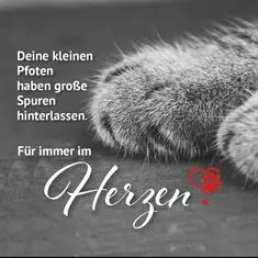 Andachtsbild von Für Priscilla von ❤️