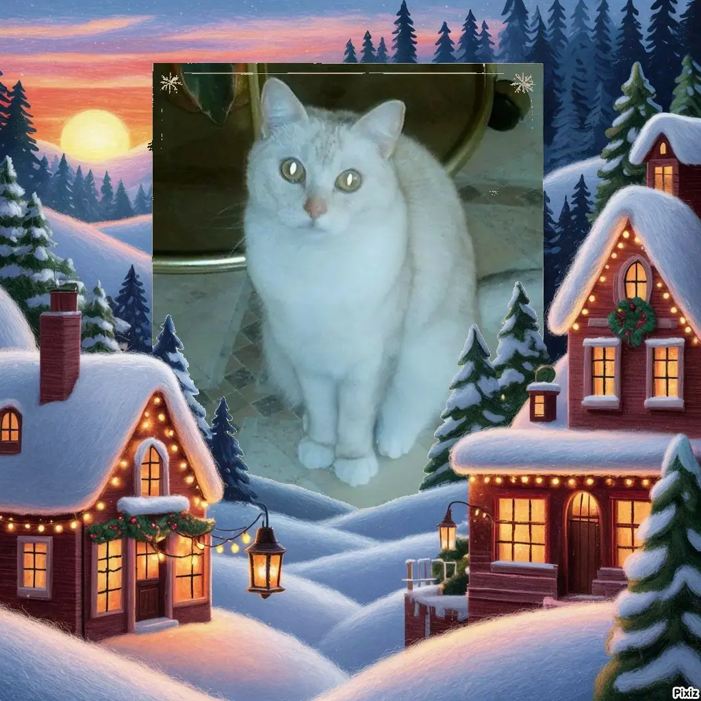 Andachtsbild von Tanja mit Timmy im 💘🐈🐾