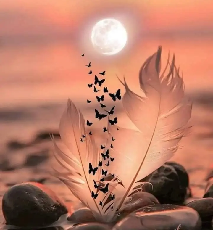 Andachtsbild von Janine 🐾 Sheela