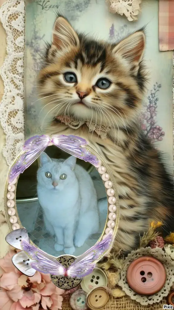 Andachtsbild von Tanja mit Timmy im 💖🐈🐾