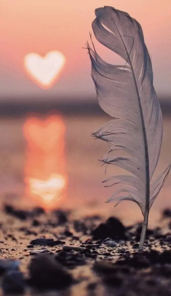 Andachtsbild von Janine ❤️ Sheela