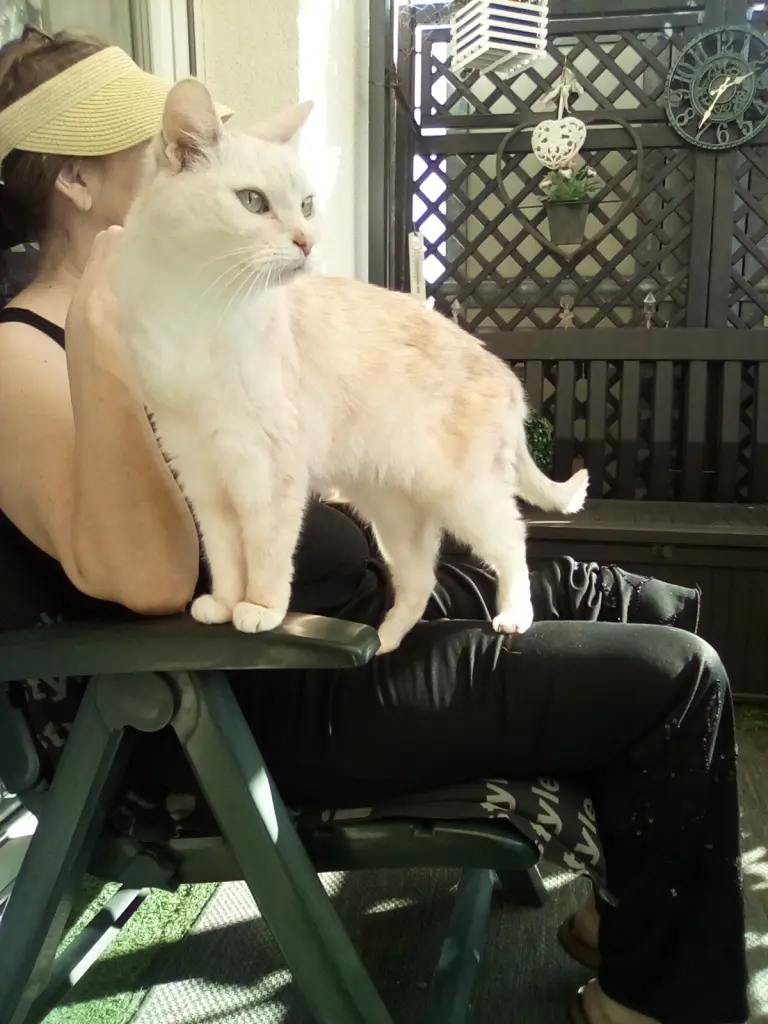 Andachtsbild von Mama