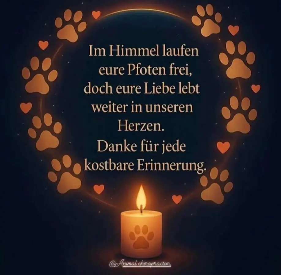 Condolence image of Claudia mit ASKO♥️
