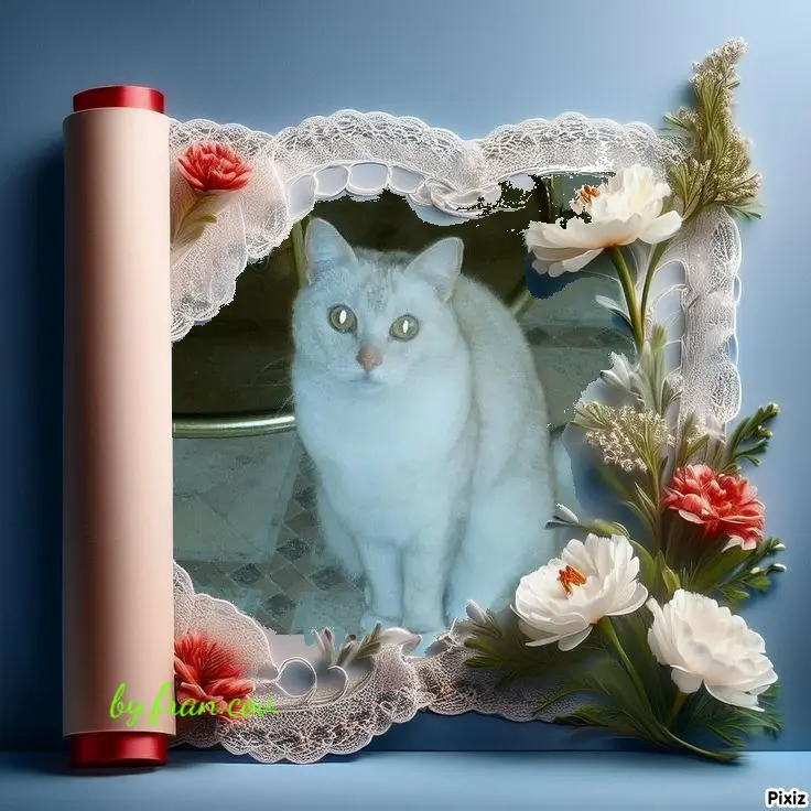 Condolence image of Tanja mit Timmy im 💖🐈🐾