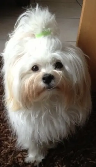 Andachtsbild von Brigitte und Andreas