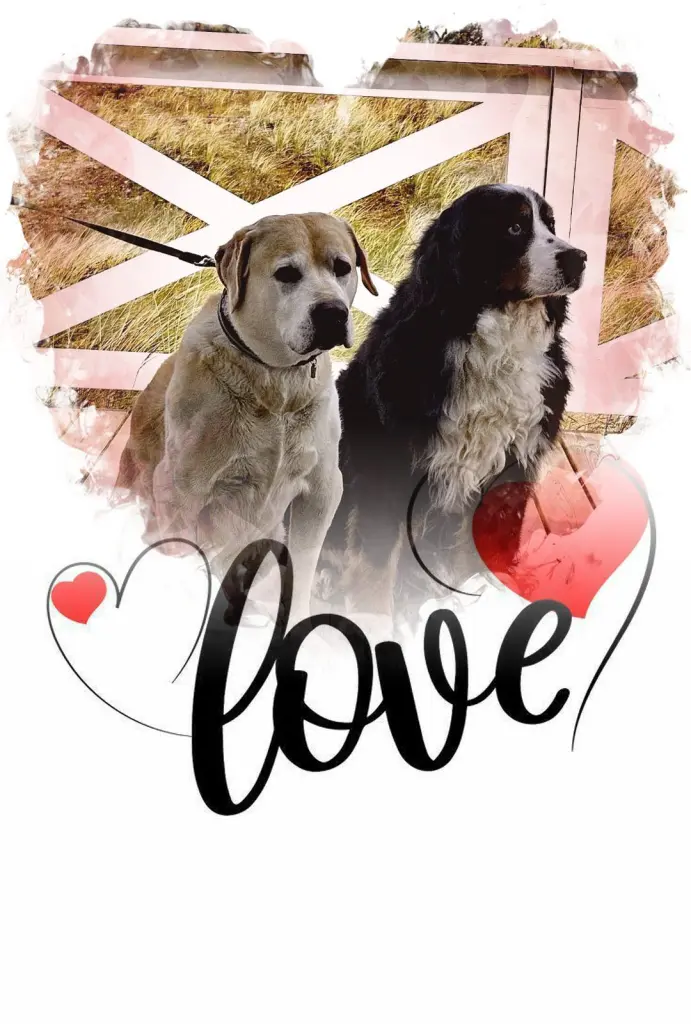 Andachtsbild von Andrea Rode