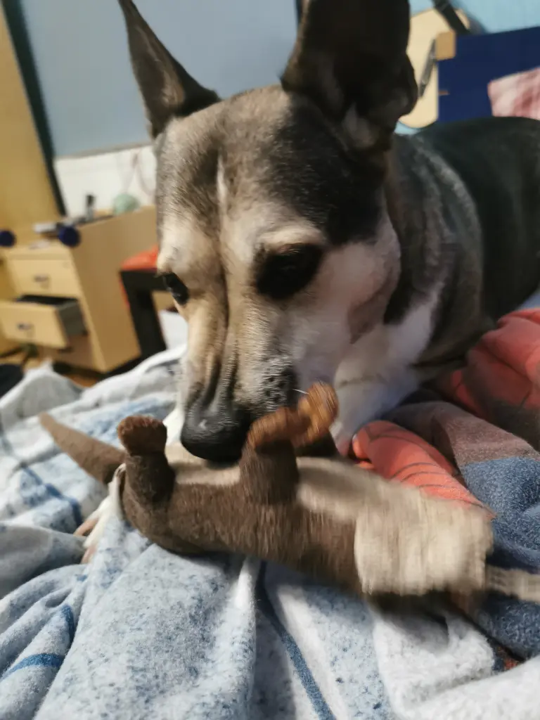 Kuscheltiere von den Kindern klauen