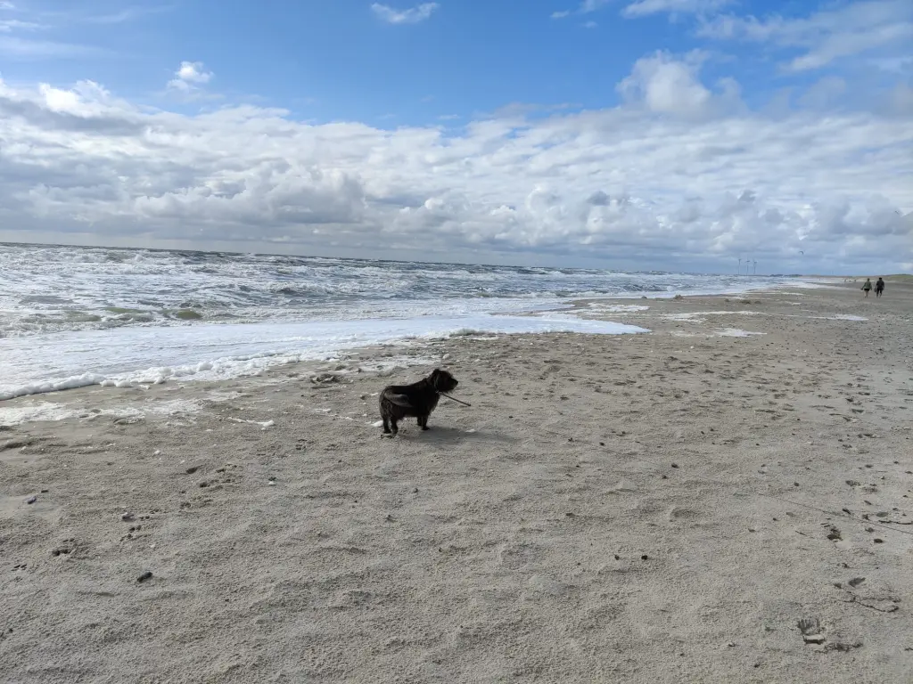 Andachtsbild von Anna