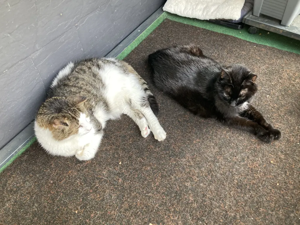 Image from Kater