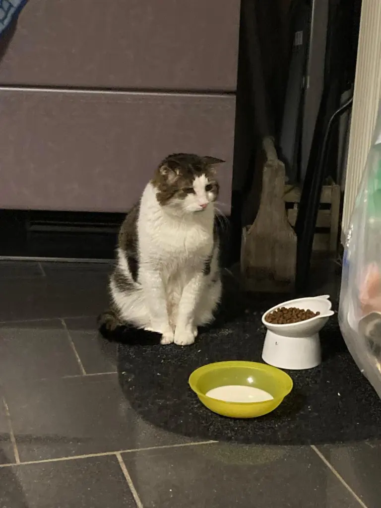 Image from Kater