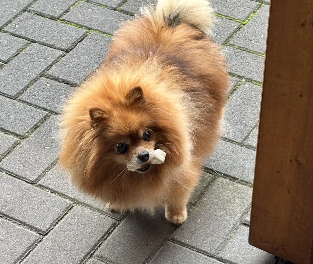 Andachtsbild von Brigitte Beuck