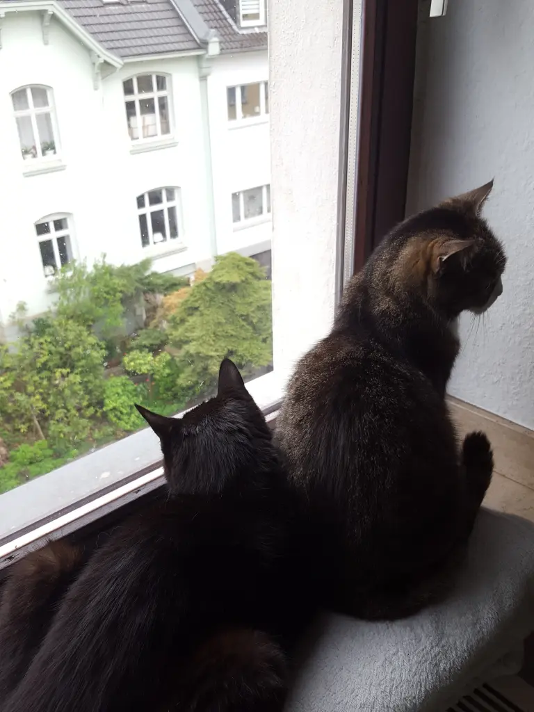 Abhängen mit deiner Schwester