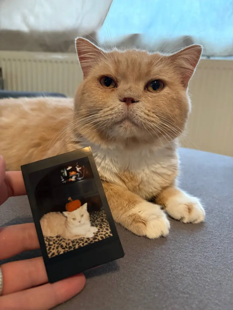 Image from Батончик