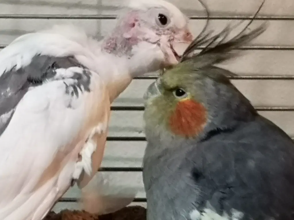 Aber Du hast Dich auch revanchiert.