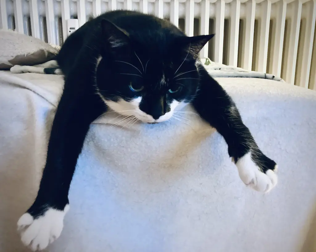 Andachtsbild von Sonja Giesecke