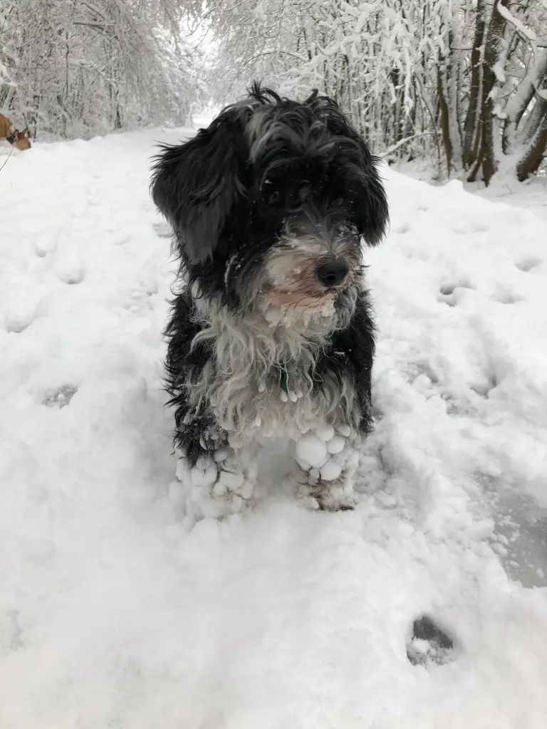 Andachtsbild von Melanie