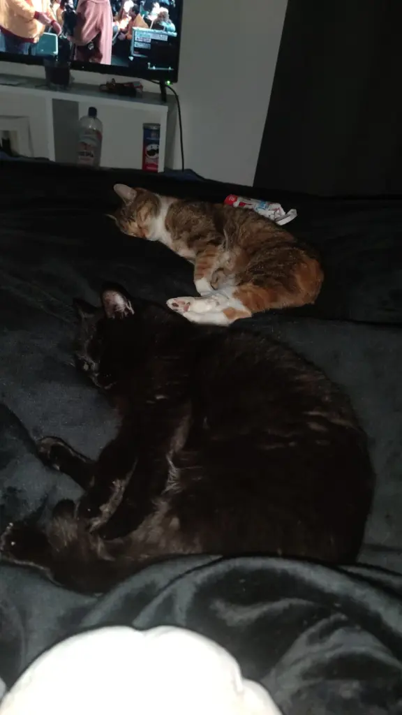 Jetzt seid ihr wieder zusammen...