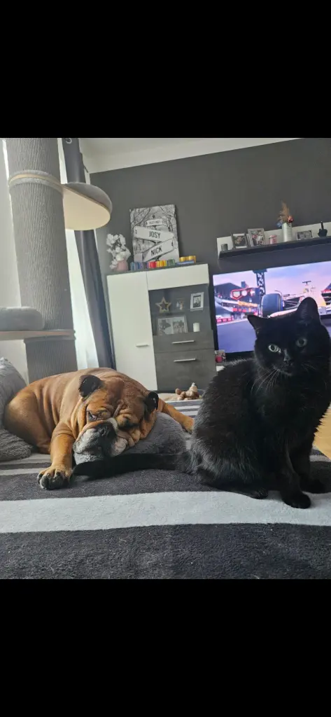 Du fehlst uns  unendlich sehr.❤️