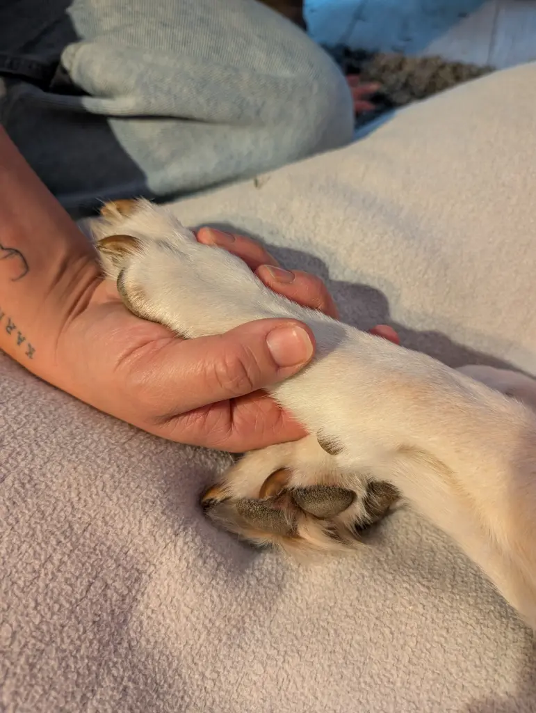 Andachtsbild von Linda