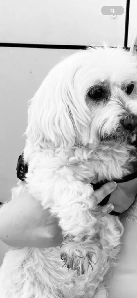 Andachtsbild von Manuela Timpa