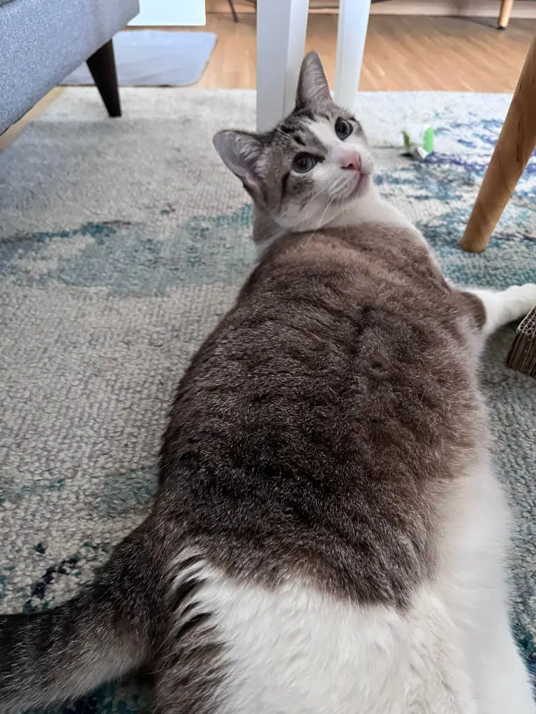 Andachtsbild von Alessandra