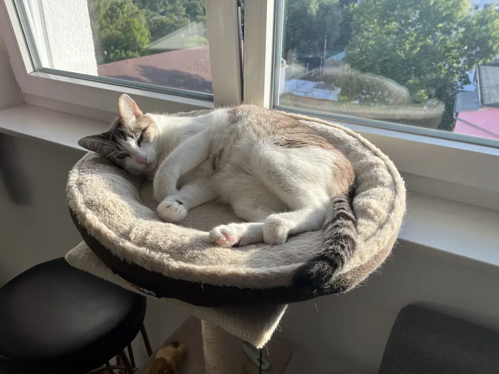 Andachtsbild von Alessandra