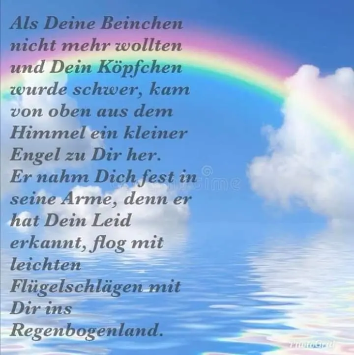 Condolence image of Ramona mit shila im Herzen