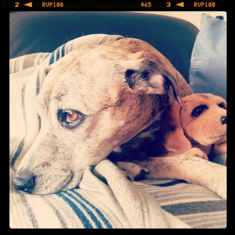 Image from Maggie