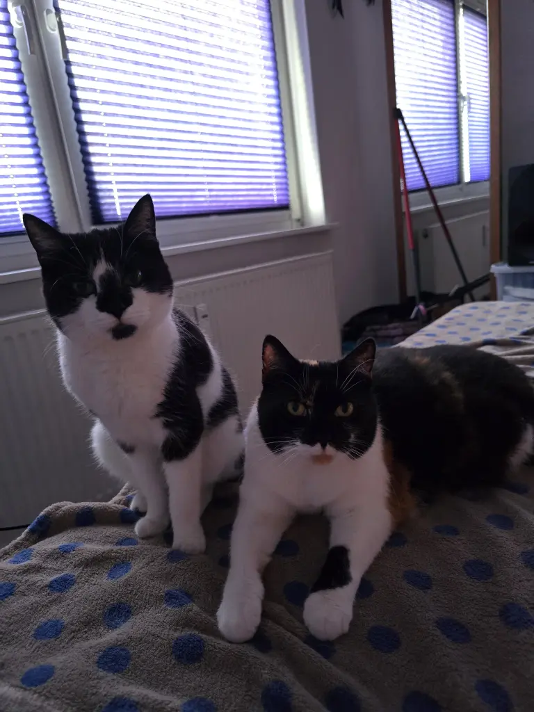 Mit ihrer Schwester