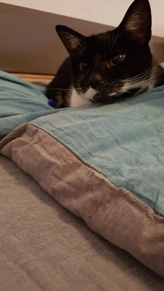 Condolence image of Catia Macario