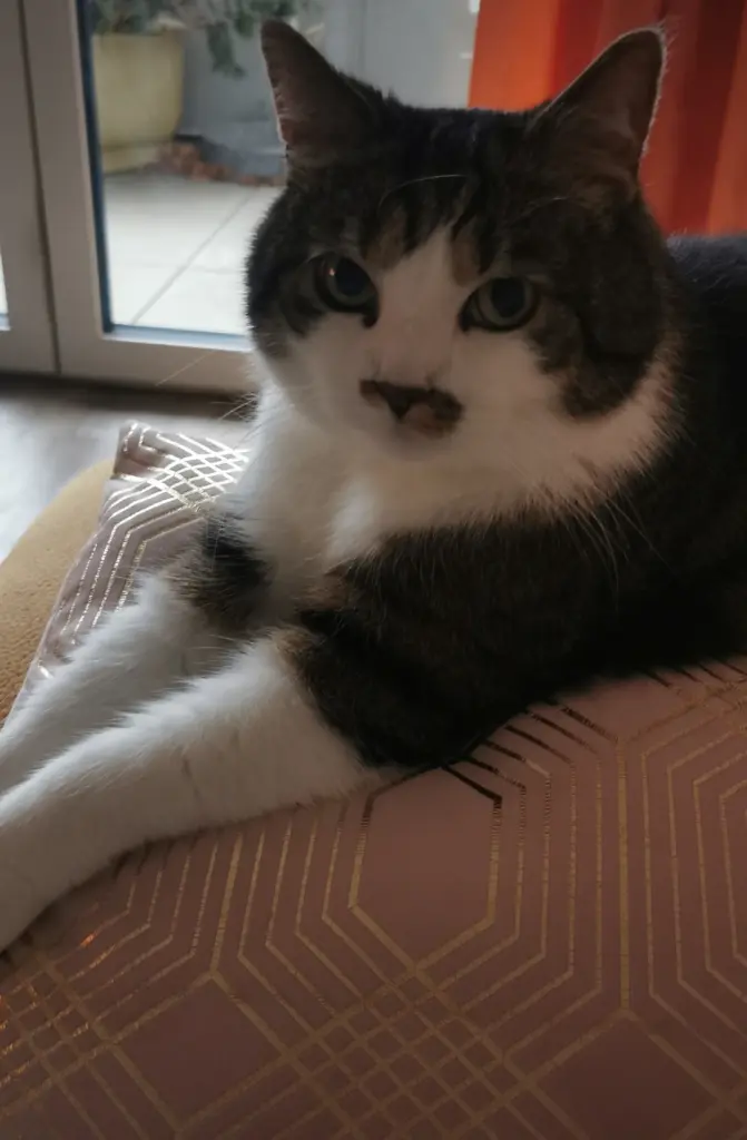 Condolence image of Gabriela Köpke