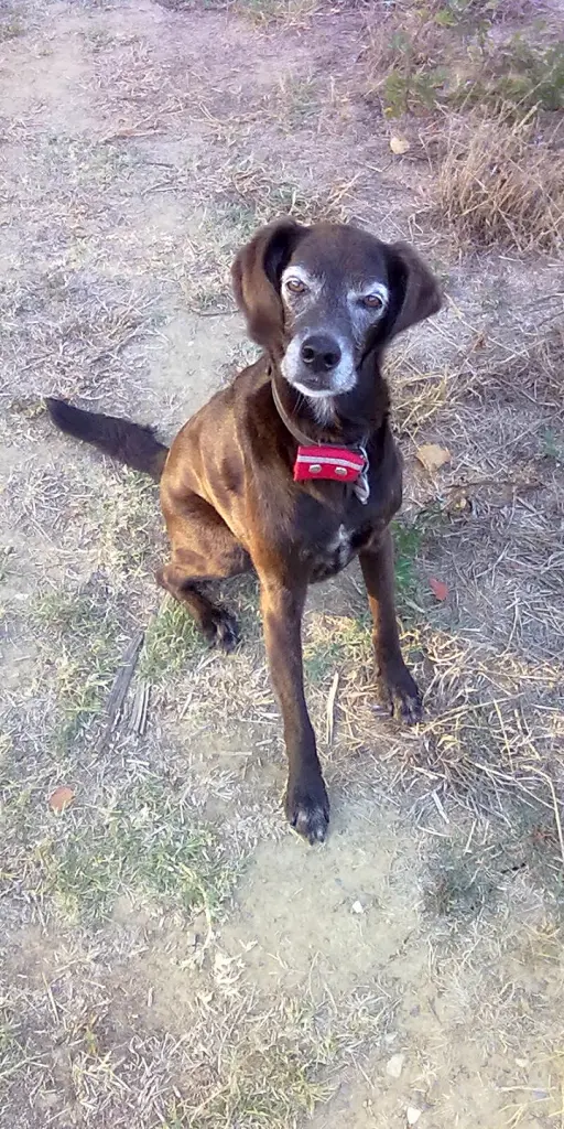 Andachtsbild von Erika Cremer