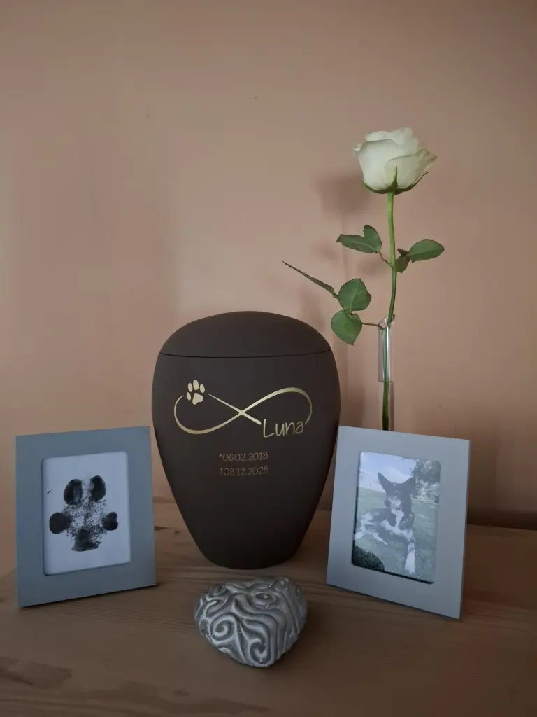 Du bist bei uns ❤️