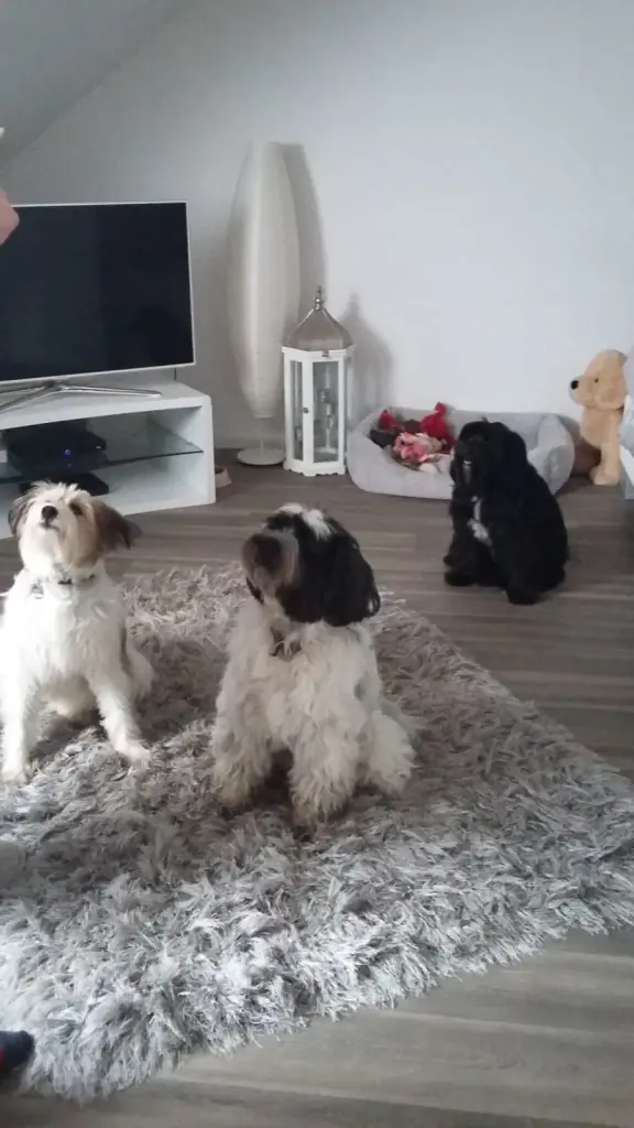 Andachtsbild von Janina Jordan