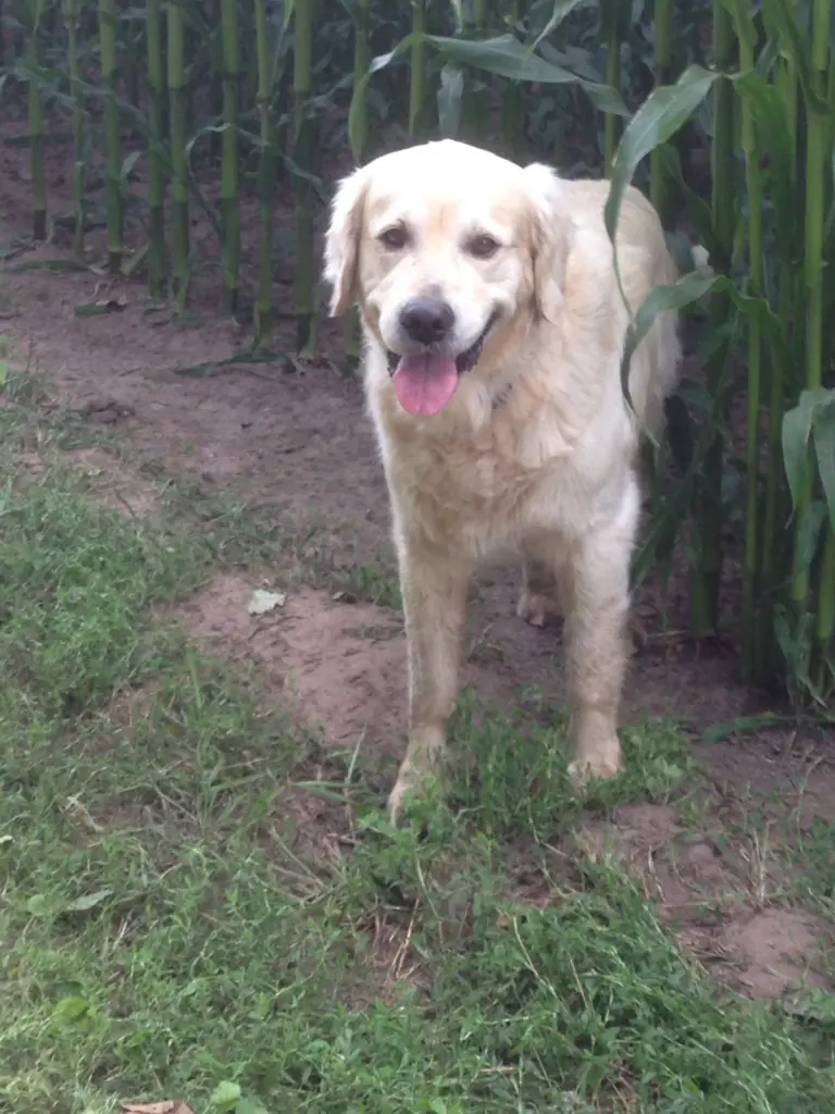 Andachtsbild von Andy und Piet 💕